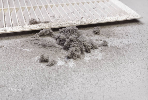 Best HVAC Air Duct Cleaning  in Breaux Bridge, LA