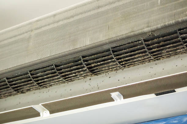 Best Air Duct Cleaning Near Me  in Breaux Bridge, LA